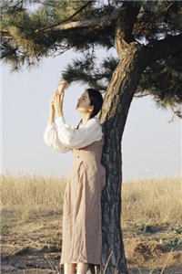 替她屈膝后，他求我回首叶繁姿陆淮年全本免费小说阅读_完整版小说全文免费阅读替她屈膝后，他求我回首叶繁姿陆淮年