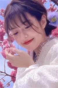 身似飘萍心似月江夏眠冯启川完本小说推荐_完结小说推荐身似飘萍心似月(江夏眠冯启川)