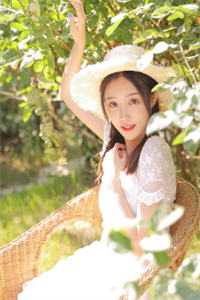 一树花开，离愁浅梦蓦悲欢迟墨扶楹免费阅读全文_完结的小说一树花开，离愁浅梦蓦悲欢(迟墨扶楹)