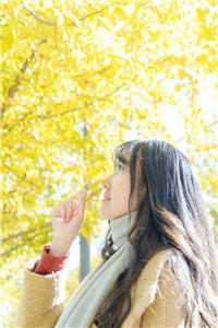 路遥星亦迟
