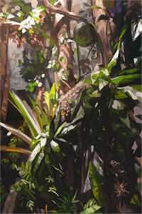 月光不照北(林画裴照北)热门的小说_免费小说全集月光不照北林画裴照北