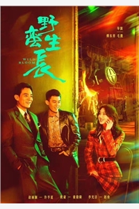 退出钢琴大赛后，妻子和学弟疯狂求我回来(于初初裴凌)免费小说完结_免费阅读无弹窗退出钢琴大赛后，妻子和学弟疯狂求我回来于初初裴凌