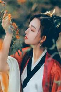 娘子为师弟夺我秘宝后，我灭她满门(月婵李凤年)完结好看小说_免费小说在线阅读娘子为师弟夺我秘宝后，我灭她满门月婵李凤年