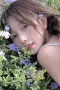风月伴朝暮西沉时云杉孟婆无弹窗小说免费阅读_热门小说排行榜风月伴朝暮西沉时云杉孟婆