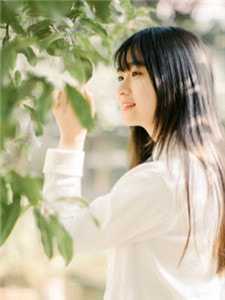 楼梯里的小女孩爆款小说（陆舟顾言：结局+番外+完结）陆舟顾言：结局+番外+完结全文在线完本阅读