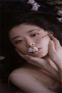 千帆过尽，不坠青云(陆晚晴陆总)好看的小说推荐完结_完本小说千帆过尽，不坠青云(陆晚晴陆总)