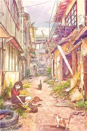 情深缘浅时傅时衍江若初全本免费小说_免费小说在线阅读情深缘浅时傅时衍江若初