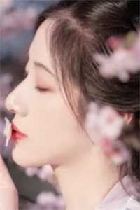 一见青山云端月(沈廷淮苏慕绾)热门完结小说_全本免费小说一见青山云端月沈廷淮苏慕绾