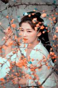 夫君二选一草包美人吓哭了