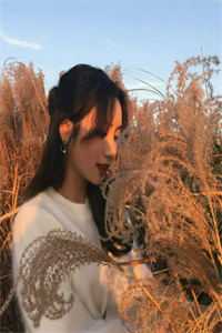 后来烟云散尽仙娥司墨辰已完结小说_推荐完本小说后来烟云散尽仙娥司墨辰
