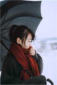 土匪来时，妻子在陪白月光过生日张雨傲李容小说完整版_最新热门小说土匪来时，妻子在陪白月光过生日张雨傲李容