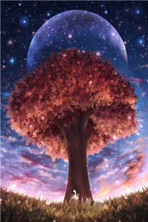 愿我如星君如月，夜夜流光却别离(李承泽沈茵)完结版小说_完本小说阅读愿我如星君如月，夜夜流光却别离(李承泽沈茵)