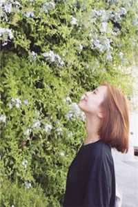 老婆患癌后，要离婚放我自由(郑芸涵霍白)完整版小说免费阅读_完本完结小说老婆患癌后，要离婚放我自由郑芸涵霍白