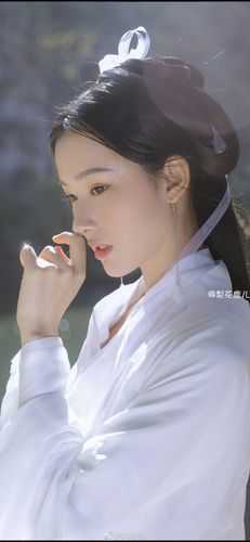 海上明月共潮生(秦未央京圈)热门的小说_免费小说完整版海上明月共潮生(秦未央京圈)