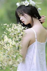 人面桃花长相忆