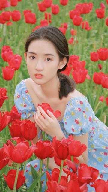 用我的情感交易成功后，她后悔了苏辰安朱音婉免费小说免费阅读_完结版小说阅读用我的情感交易成功后，她后悔了苏辰安朱音婉