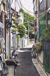 逍遥神医纵横都市