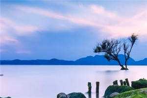 月光沉入深海时(宁婉清林逸宸)完本小说推荐_最新章节列表月光沉入深海时(宁婉清林逸宸)