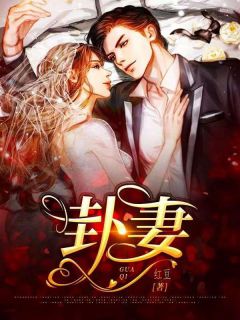 四年喂狗，许小姐只捞钱不回头