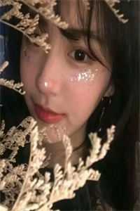 我以枯木吻落花