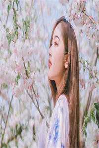 我成为老赖后，请全公司狂欢的实习生慌了江辞陆暄小说完结推荐_完结热门小说我成为老赖后，请全公司狂欢的实习生慌了(江辞陆暄)