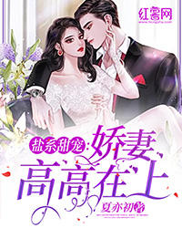 盐系甜宠:娇妻高高在上(书号:13271)
