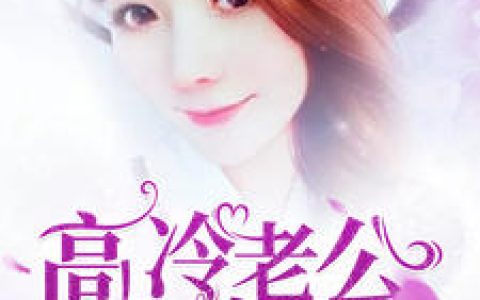 高冷老公太宠我小说完整版沐澄陆瑾庭全本在线免费阅读