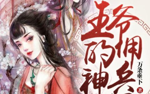 《王爷的佣兵神妃》小说章节目录凌易,风若南全文免费阅读
