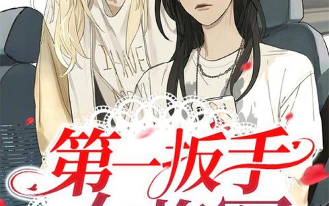 《第一扳手：女将军》小说章节目录虞桑,雷鞭全文免费阅读