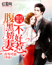 纸约蜜宠:腹黑娇妻不好惹(书号:8528)