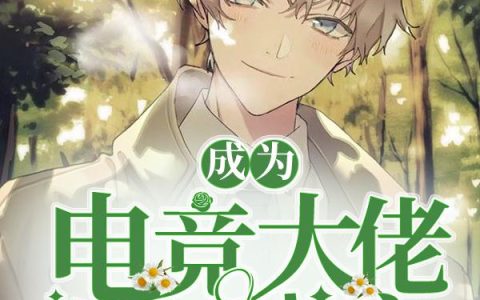 成为电竞大佬的手中宝抖音微信小说宁相思林琛全本在线免费阅读