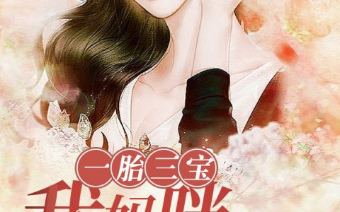 《 一胎三宝：我妈咪超A的》最新章节免费阅读 主角叫(慕安歌容凌)全文免费阅读