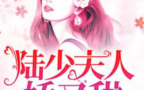 陆少夫人娇又甜抖音微信小说艾天晴陆少铭全本在线免费阅读