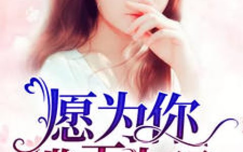 《愿为你揽天上月》顾兮辞陆聿臻全本章节免费在线阅读