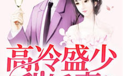 高冷盛少甜娇妻抖音微信小说宋美景盛霆啸全本在线免费阅读