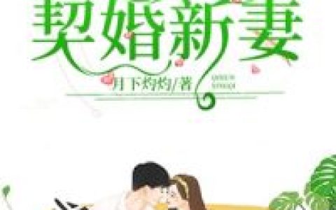 陆少的契婚新妻抖音微信小说陆霆骁陆家老爷子全本在线免费阅读