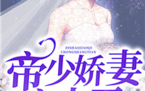 《帝少娇妻宠上天》宁笙宁母全本章节免费在线阅读