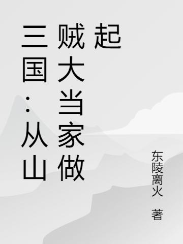 三国:从山贼大当家做起