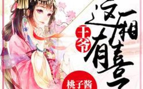 王爷，这厢有喜了抖音微信小说坠儿仇由国全本在线免费阅读