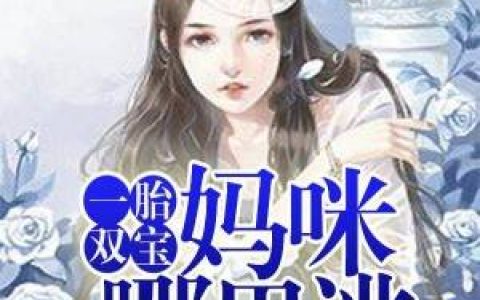 《王妃你节操掉了》汐月夜玉痕全本章节免费在线阅读
