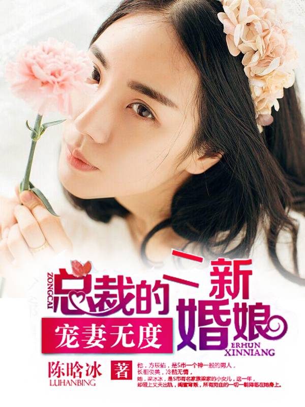 宠妻无度:总裁的二婚新娘