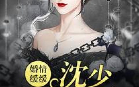 婚情缓缓：沈少请勿靠近小说完整版叶筝阿楠全本在线免费阅读