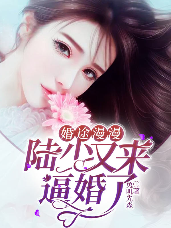 婚途漫漫:陆少又来逼婚了
