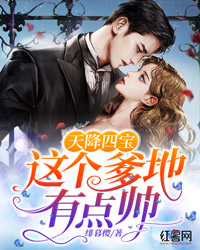 天降四宝:这个爹地有点帅(书号:13243)