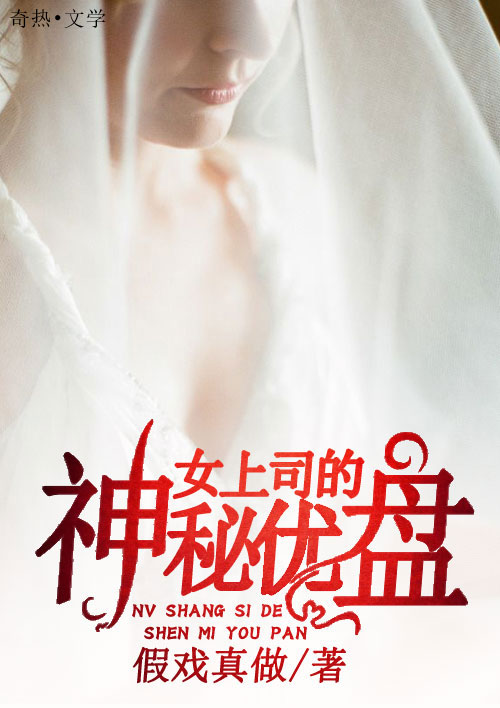 女上司的神秘优盘
