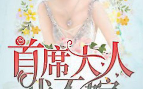 首席大人我不嫁顾小悠韩穆宁，顾小悠韩穆宁全本在线阅读