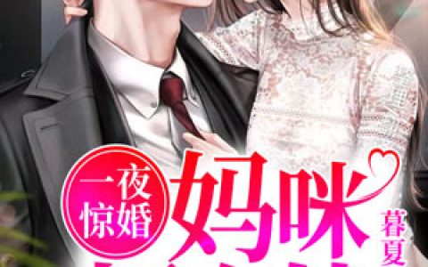《一夜惊婚：妈咪超有钱》小说全本在线试读，《一夜惊婚：妈咪超有钱》最新章节目录