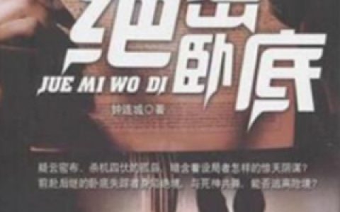 绝密卧底抖音微信小说义珍蓉易祥贵全本在线免费阅读