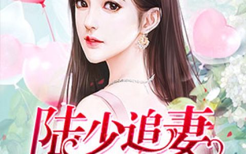 陆少追妻套路深抖音微信小说陆煜泽时锦全本在线免费阅读