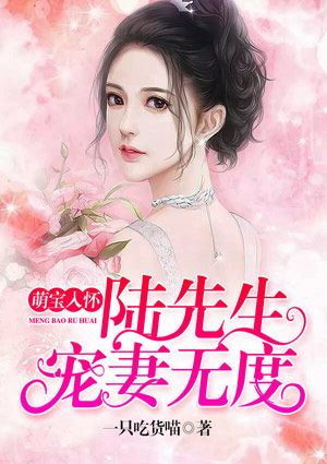 萌宝入怀,陆先生宠妻无度